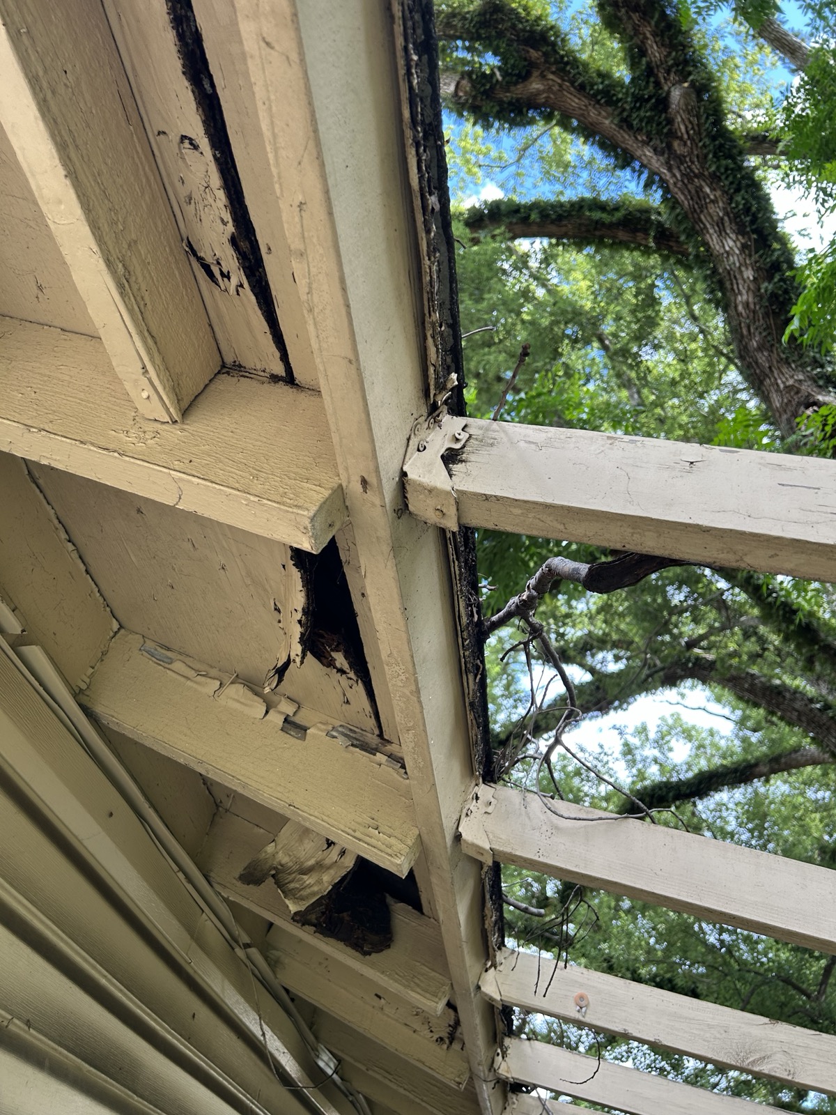 1500 43rd St — Fascia and framing