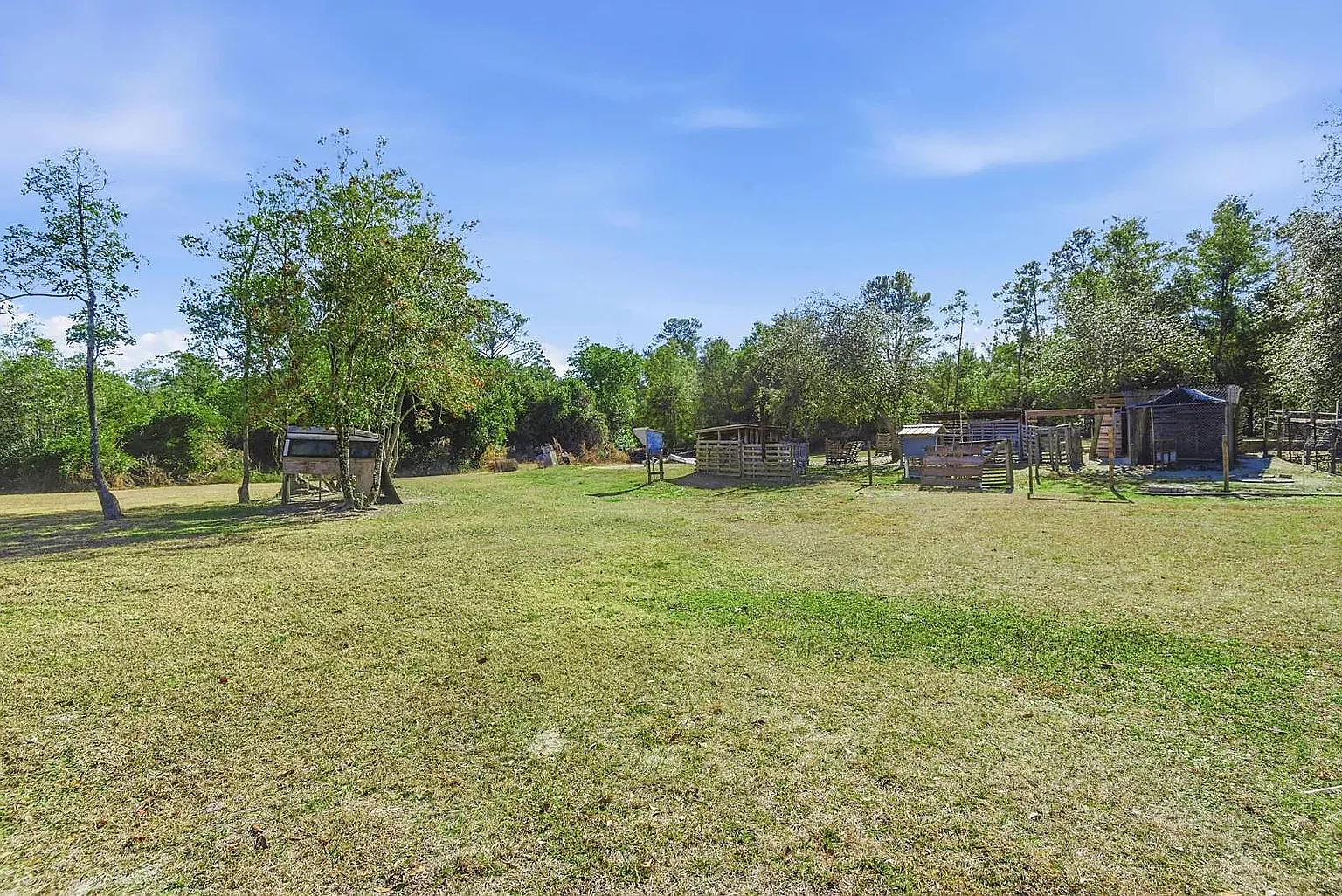 Cleared pasture