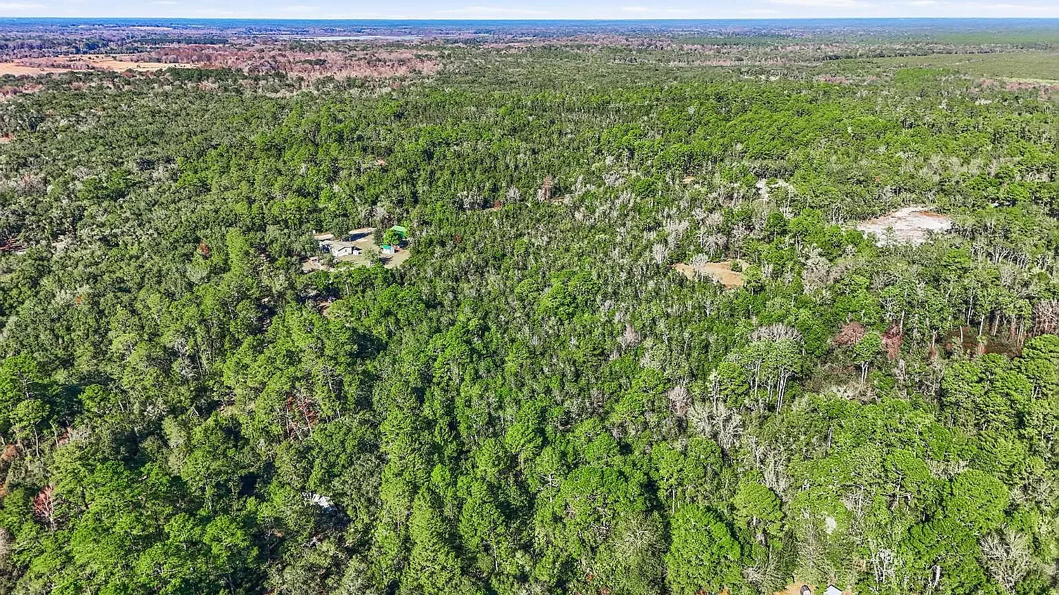 Aerial — tree cover surrounding the parcel