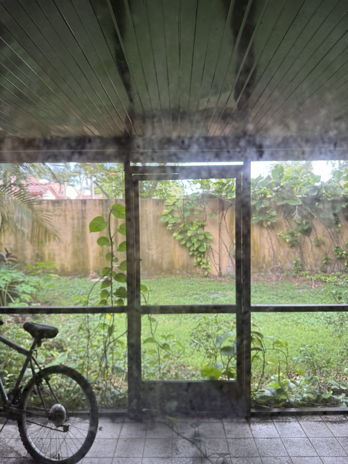 Looking out back from the patio