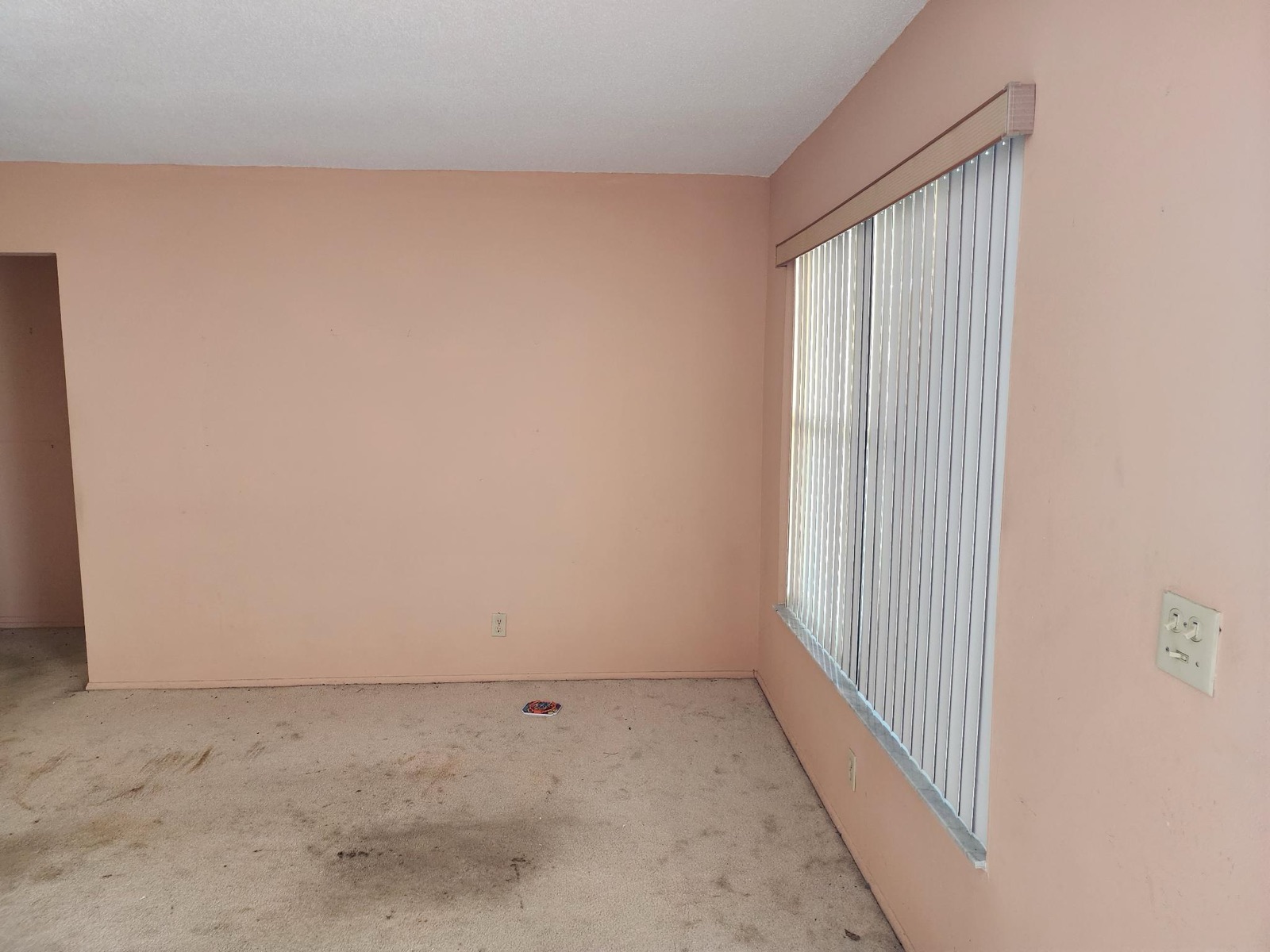 Second living area / flex room